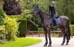 LeMieux Dressuur dekje Suede Crystal Navy -43% SALE!, Dieren en Toebehoren, Paarden en Pony's | Dekens en Dekjes, Ophalen of Verzenden