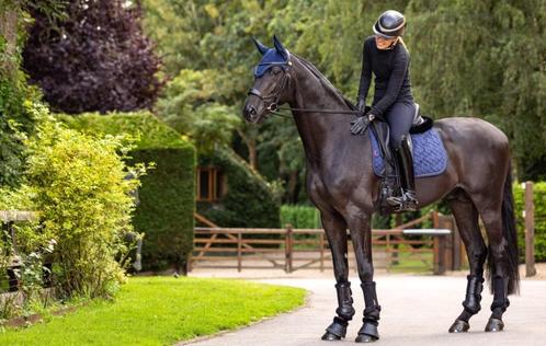 LeMieux Dressuur dekje Suede Crystal Navy -43% SALE!, Dieren en Toebehoren, Paarden en Pony's | Dekens en Dekjes, Nieuw, Dekje