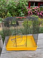 Hamsterkooi + rad, Dieren en Toebehoren, Knaagdieren en Konijnen | Hokken en Kooien, Kooi, Gebruikt, Minder dan 75 cm, Hamster