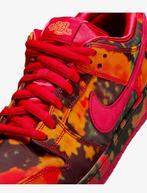 Nike Sb Wizard of Oz, Kleding | Heren, Schoenen, Ophalen, Overige kleuren, Nike, Nieuw