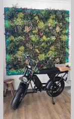 Fatbike 690€, Fietsen en Brommers, Elektrische fietsen, Ophalen, Nieuw