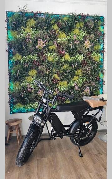 Fatbike 690€ beschikbaar voor biedingen
