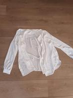 H&M blouse, Kleding | Dames, Blouses en Tunieken, Ophalen of Verzenden, Gedragen, Maat 42/44 (L)