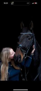 Paarden trainer/inrijden/doorrijden aangeboden, Dieren en Toebehoren, Ophalen of Verzenden