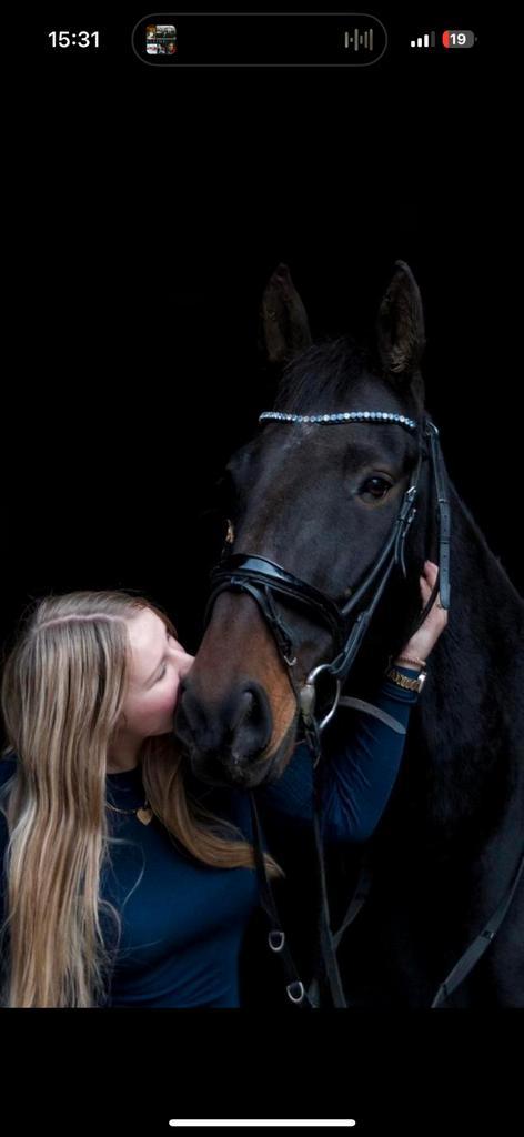 Paarden trainer/inrijden/doorrijden aangeboden, Dieren en Toebehoren, Paarden en Pony's | Overige Paardenspullen, Ophalen of Verzenden