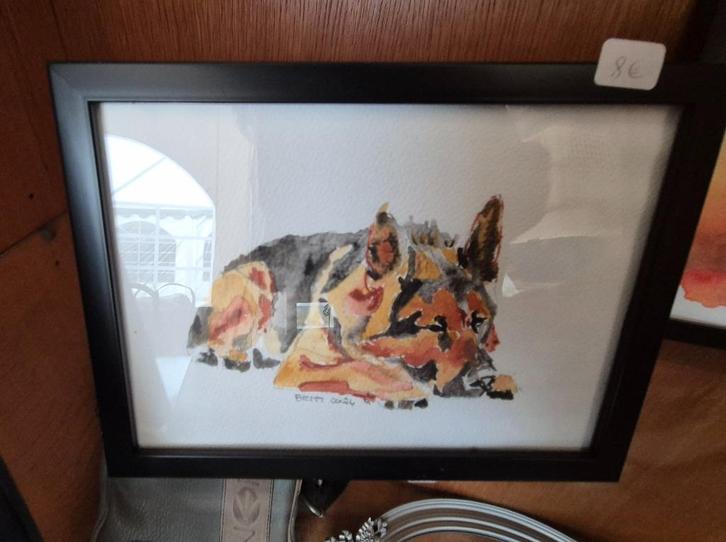 Aquarel hond Duitse herder - Geel - Putte, Antiek en Kunst, Kunst | Schilderijen | Modern, Ophalen of Verzenden