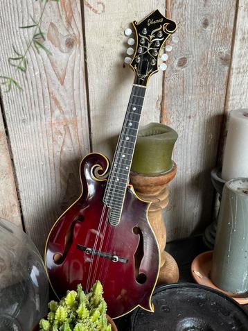 Ibanez lawsuit mandoline model 526 beschikbaar voor biedingen