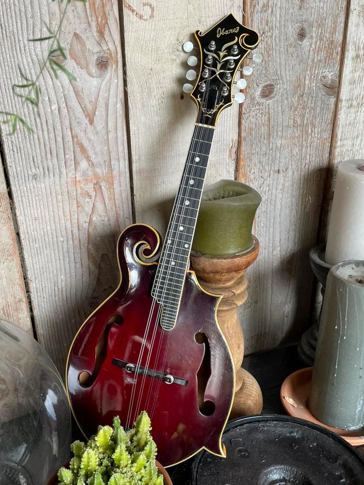 Ibanez lawsuit mandoline model 526, Muziek en Instrumenten, Snaarinstrumenten | Mandolines, Gebruikt, Ophalen