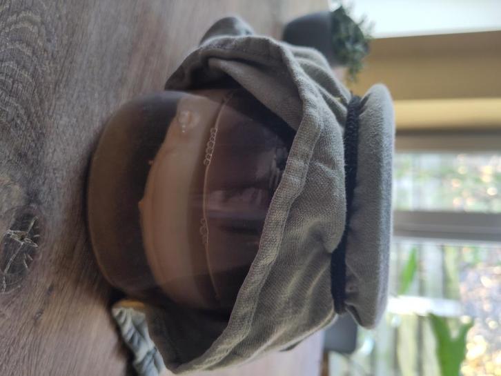 Scoby + startersvloeistof kombucha, Diversen, Levensmiddelen, Ophalen of Verzenden