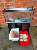 Vissen/schildpadden aquarium aquatlantis, Dieren en Toebehoren, Ophalen, Gebruikt, Leeg aquarium