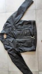 Veste cuir Harley Davidson, Motoren, Ophalen, Nieuw zonder kaartje