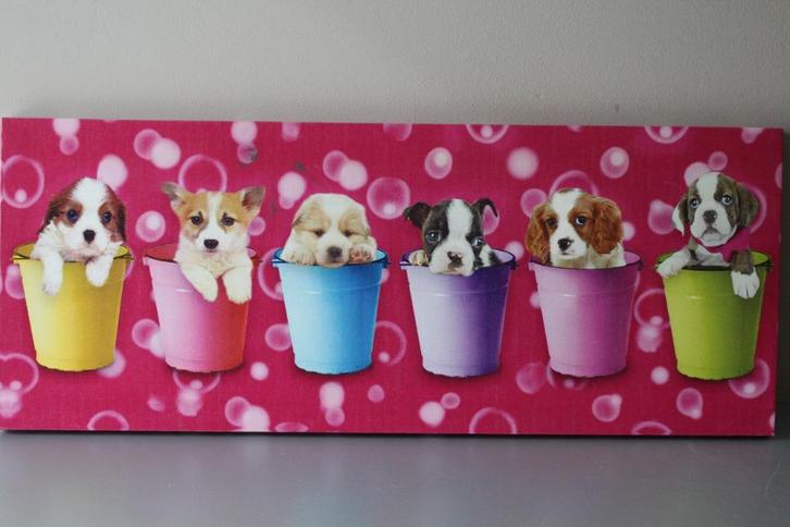 Schilderij met hondjes in gekleurde emaille emmers. Nieuw, Kinderen en Baby's, Kinderkamer | Inrichting en Decoratie, Nieuw, Wanddecoratie