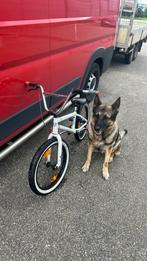 BMX Wethepeople CRVS, Fietsen en Brommers, Fietsen | Crossfietsen en BMX, Ophalen