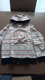 Trui van Tommy Hilfiger grijs, Gebruikt, Trui of Vest, Ophalen of Verzenden, Tommy Hilfiger