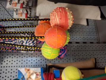 Volledige inboedel hondenwinkel beschikbaar voor biedingen