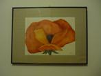 aquarel., Antiek en Kunst, Ophalen of Verzenden