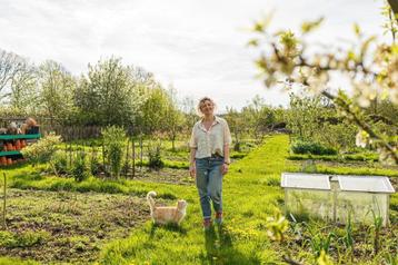 GRATIS OMHEINDE MOESTUIN BESCHIKBAAR beschikbaar voor biedingen