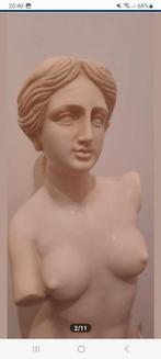 Prachtig standbeeld van Venus de Milo, Ophalen