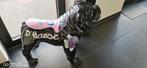 Hannes D' Haese zwarte dog., Antiquités & Art, Art | Objets design, Enlèvement