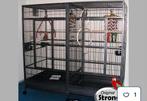 Zeer grote kooi papegaai of ara, Dieren en Toebehoren, Vogels | Hokken en Kooien, Ophalen