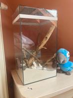 Mieren verblijf, Dieren en Toebehoren, Insecten en Spinnen, Mieren