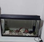 Groot aquarium te koop, Dieren en Toebehoren, Ophalen, Zo goed als nieuw