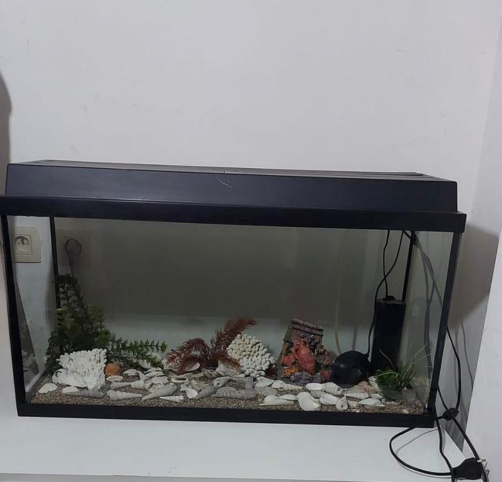 Groot aquarium te koop, Dieren en Toebehoren, Vissen | Aquaria en Toebehoren, Zo goed als nieuw, Ophalen
