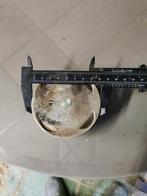 Piston xr350, Ophalen of Verzenden