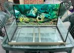Open aquarium 50L, Ophalen, Gebruikt