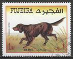 Fujeira 1971 - Yvert 48A PA - Gouden Setter (ST), Postzegels en Munten, Verzenden