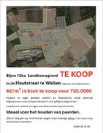 12ha landbouwgrond te koop Houtstraat in Wellen,  Limburg, Immo