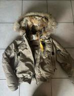 parajumper S, Kleding | Dames, Ophalen, Zo goed als nieuw, Maat 36 (S)
