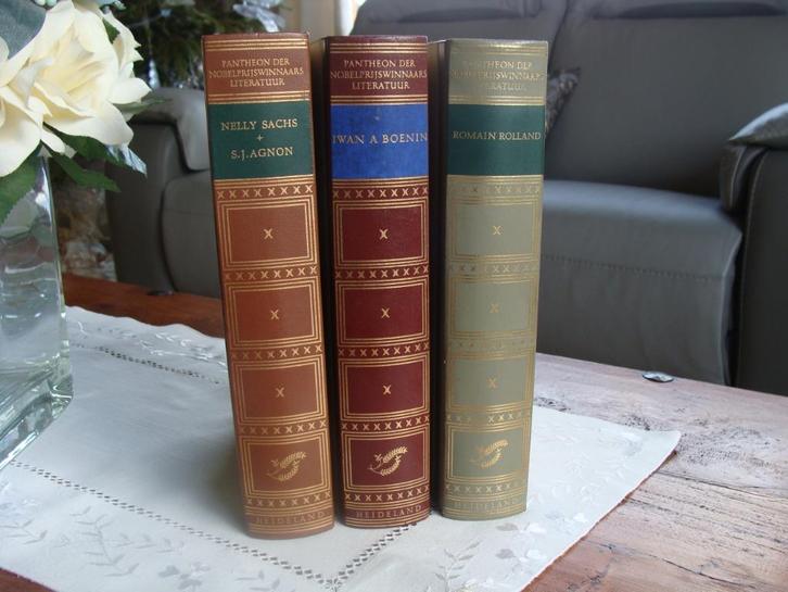 3 oude boeken in het Nederlands, Pantheon, Boeken, Literatuur, Nieuw, Ophalen of Verzenden