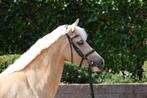 Knappe 4-jarige pony zoekt gouden thuis, Dieren en Toebehoren, Merrie, Gechipt, Springpony, Zadelmak