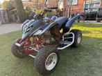 Yamaha raptor 350, Motoren, 350 cc