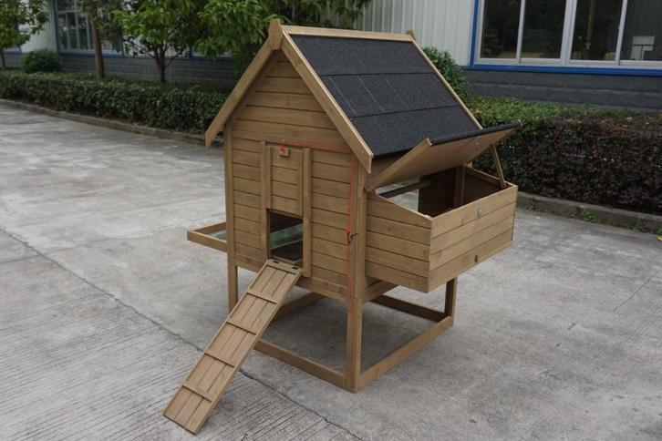 Hampshire 1 naturel (2024), Dieren en Toebehoren, Pluimvee | Toebehoren, Nieuw, Kippenhok of Kippenren, Ophalen of Verzenden