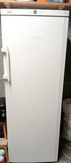 Liebherr vriezer, Elektronische apparatuur, Vriezers en Diepvrieskisten, Gebruikt, Minder dan 60 cm, 160 cm of meer, Vrijstaand