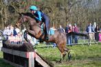 Jumping- en eventingpony, Dieren en Toebehoren, Gechipt, M, Springpony, 11 jaar of ouder