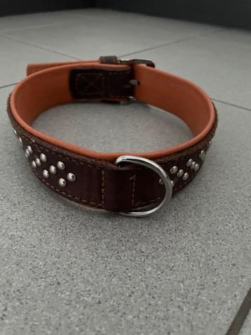 Leren hondenhalsband beschikbaar voor biedingen