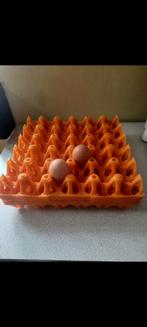 Porte œufs pour 30 œufs. Disponible 7 pièces, Comme neuf, Enlèvement ou Envoi