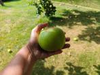 Dé beste appelmoes appel!, Ophalen