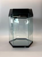 Aquarium 21,6L - Hexagon - NIEUW (+decoratie), Dieren en Toebehoren, Ophalen of Verzenden, Nieuw, Leeg aquarium