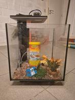 Aquarium 30L, Dieren en Toebehoren, Ophalen, Gebruikt
