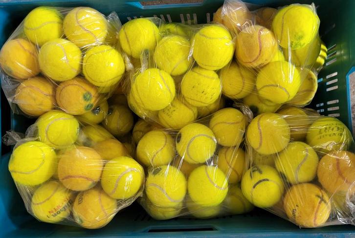 756 tennisballen hondenbal hondenballen, Animaux & Accessoires, Jouets pour chiens, Utilisé, Balles pour chien, Enlèvement