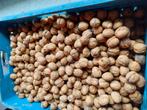 Walnoten te koop 3 euro de kg, Diversen, Levensmiddelen, Ophalen