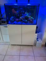 Redsea 300xl, Ophalen, Gebruikt, Gevuld zeewateraquarium
