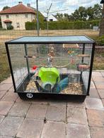 Kooi met accessoires, Dieren en Toebehoren, Ophalen, Kooi