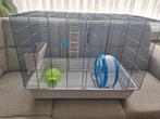 Grote mooie kooi 79 cm lengte 61 cm hoogte, Dieren en Toebehoren, Ophalen, Zo goed als nieuw, Kooi