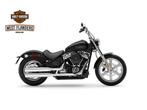 Harley-Davidson Cruiser SOFTAIL® STANDARD, Autre, 1745 cm³, Entreprise