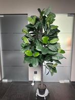 Kunstplant 1,90 meter hoog, Huis en Inrichting, Woonaccessoires | Kunstplanten en Kunstbloemen, Ophalen, Gebruikt, Binnen